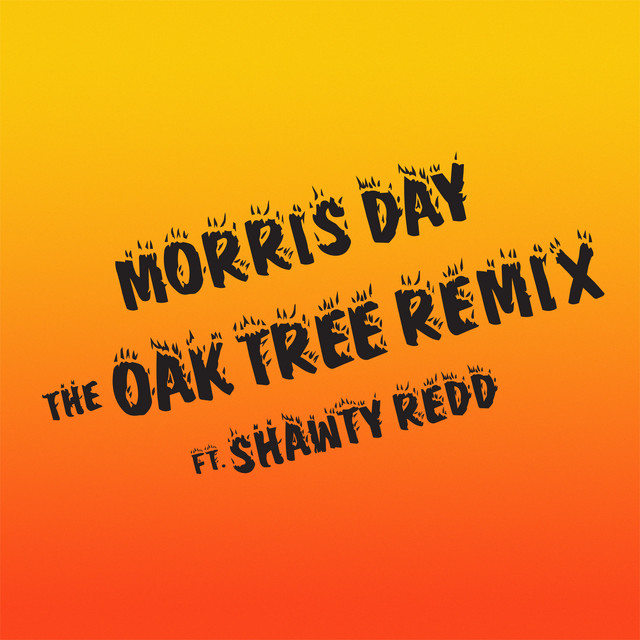 The Oak Tree Remix (feat. Shawty Redd) cover art