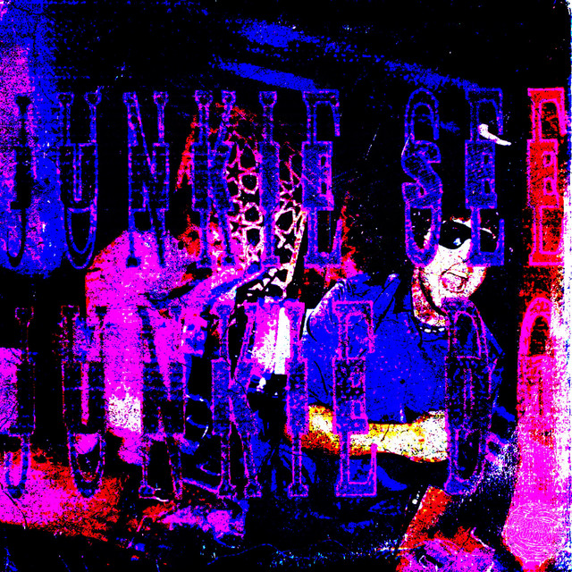Junkie See Junkie Do cover art
