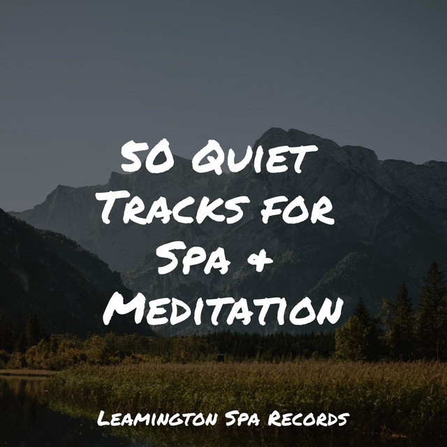50 Quiet Tracks for Spa & Meditation - Album by Weather Factory | Spotify