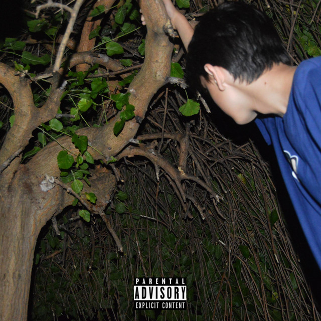 ASHES cover art