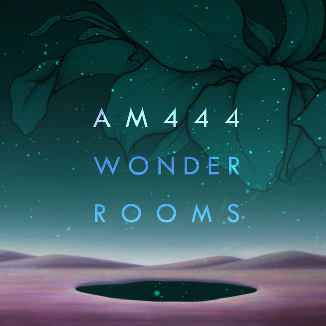 Wonder Rooms cover art