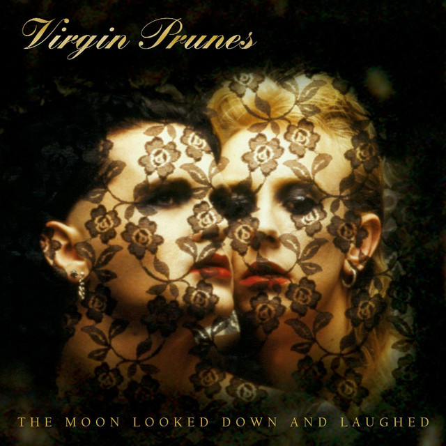 The Moon Looked Down And Laughed cover art