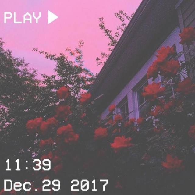 Flowers cover art
