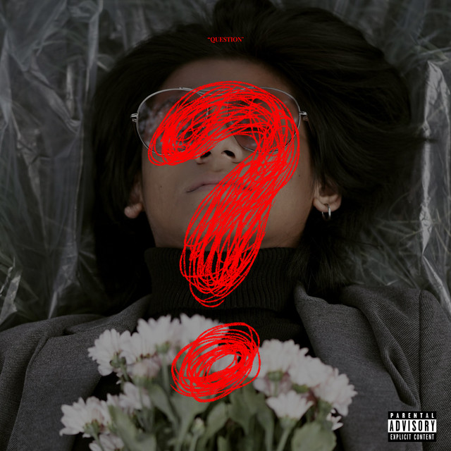 Question cover art