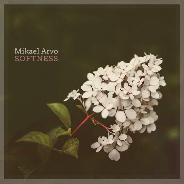 Softness by Mikael Arvo