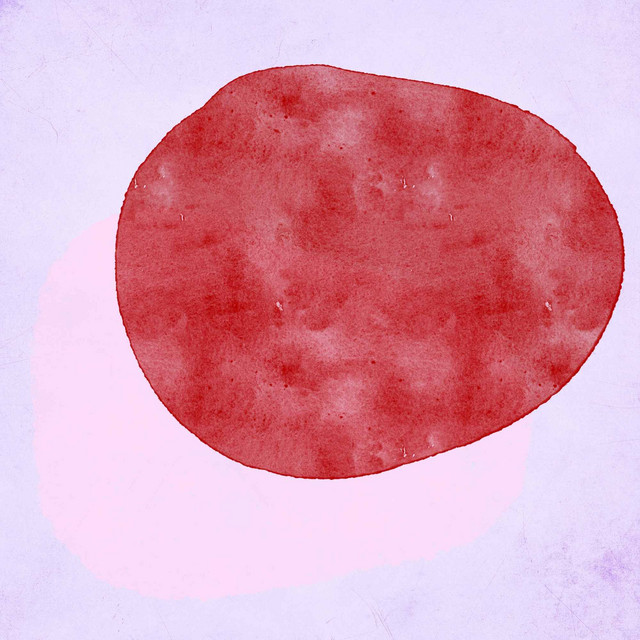 Backdrop for Attractive Sunshines cover art