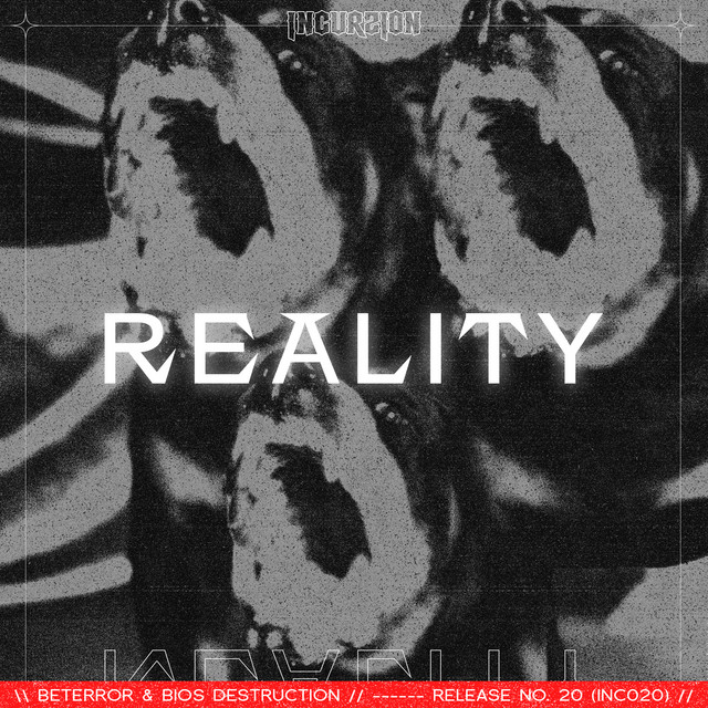 Reality cover art