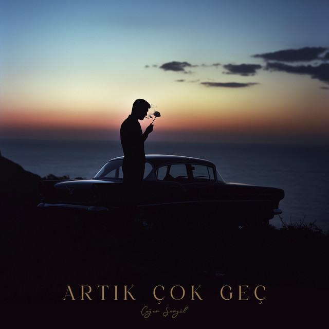 Artık Çok Geç cover art