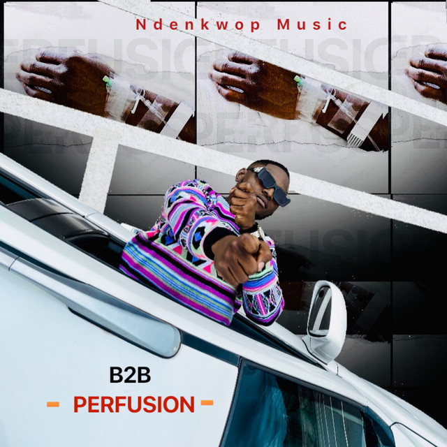 Perfusion cover art