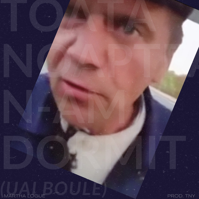 Toata noaptea n-am dormit (uai boule) cover art