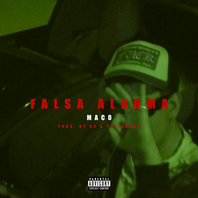 FALSA ALARMA