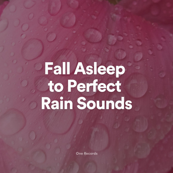 Fall Asleep to Perfect Rain Sounds - Album by Sleep Sounds of Nature ...