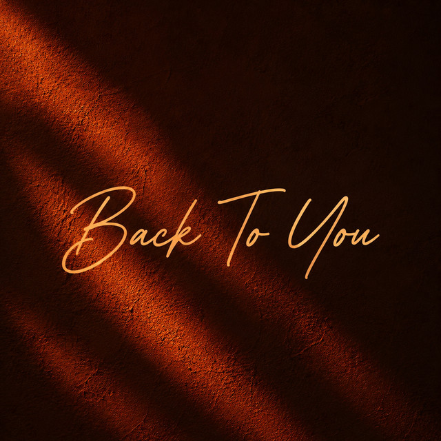 Back To You (Extended Mix) album image