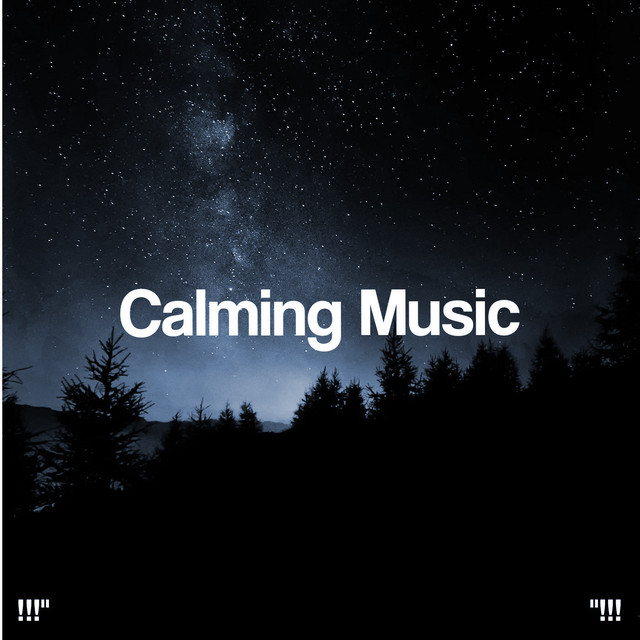 Calming Music cover art