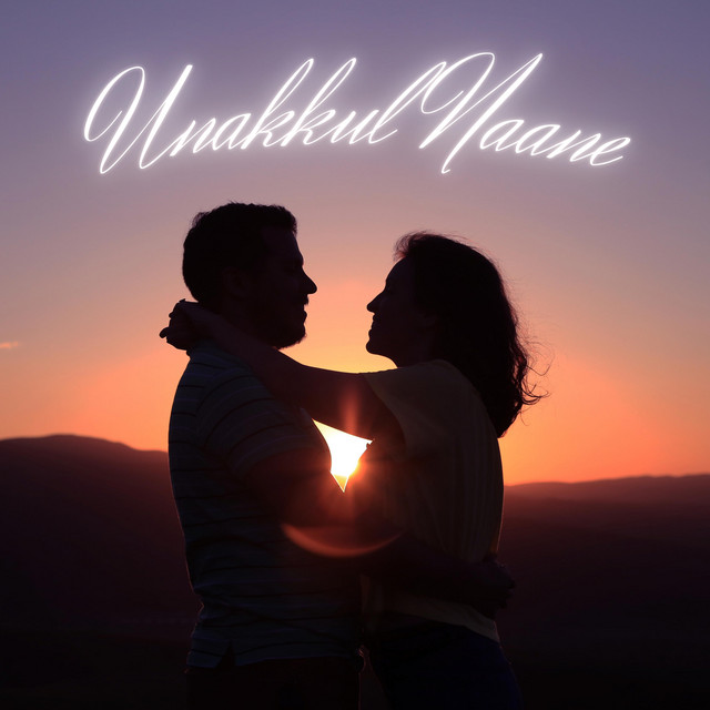 Unakkul Naane - Flip Mix