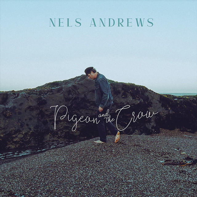 Pigeon and the Crow cover art