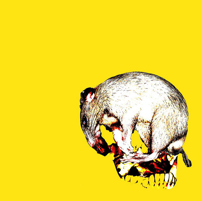 Disgust cover art