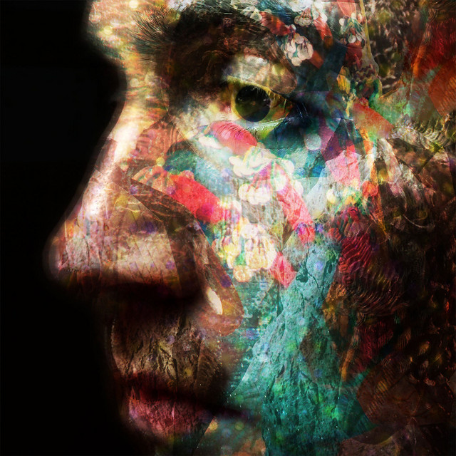VELD cover art
