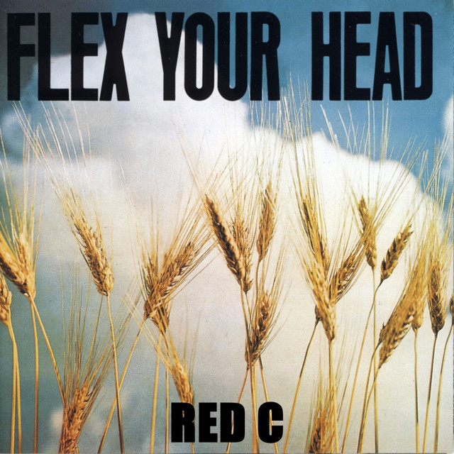 Flex Your Head cover art