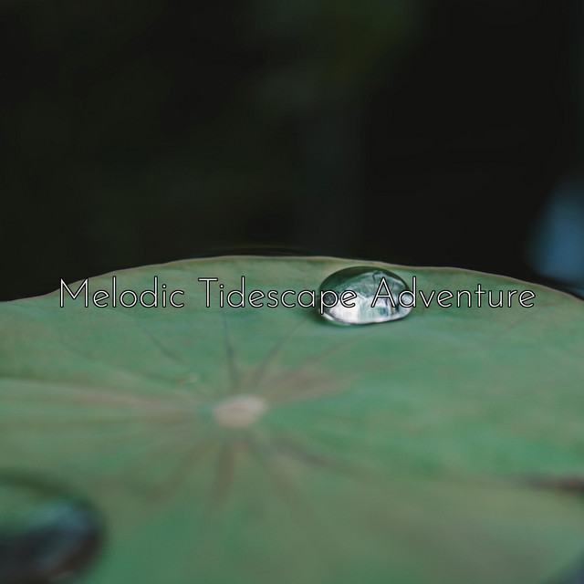 Melodic Tidescape Adventure cover art