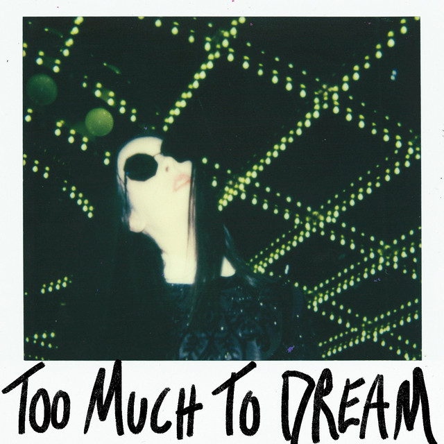 Too Much to Dream cover art