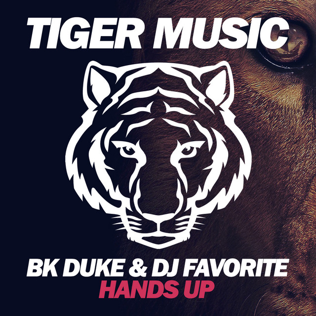 Hands Up - Dany Cohiba Remix