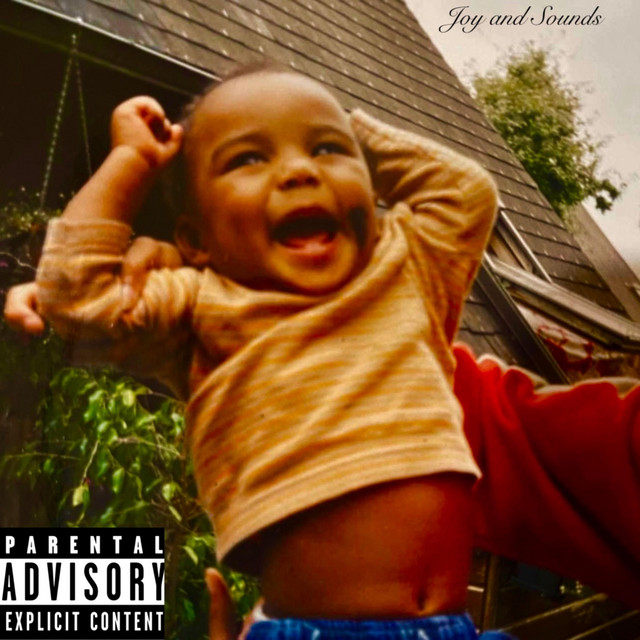 JOY AND SOUNDS cover art