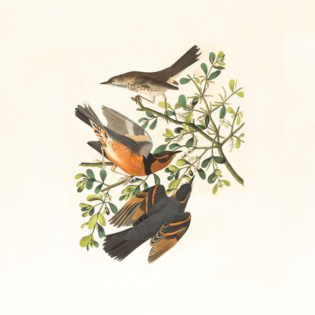 Cherry Trees cover art