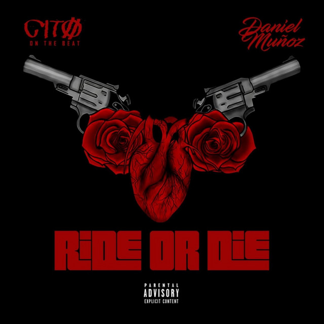 Ride or Die cover
