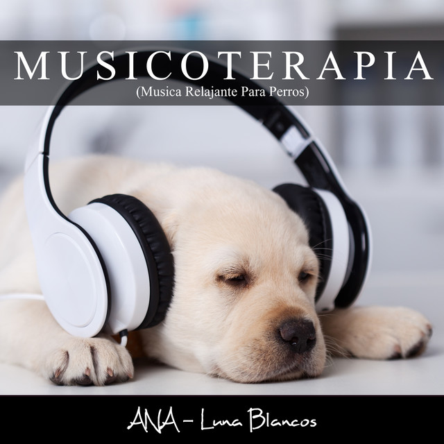 Musicoterapia (Musica Relajante Para Perros) cover art