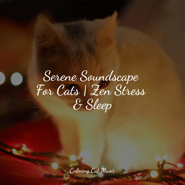 Serene Soundscape For Cats | Zen Stress & Sleep - Album by Music for ...