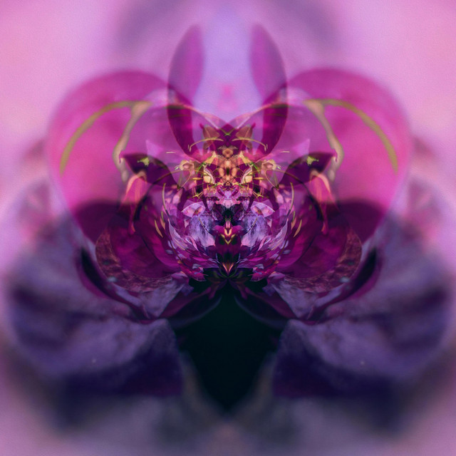Just Because cover art