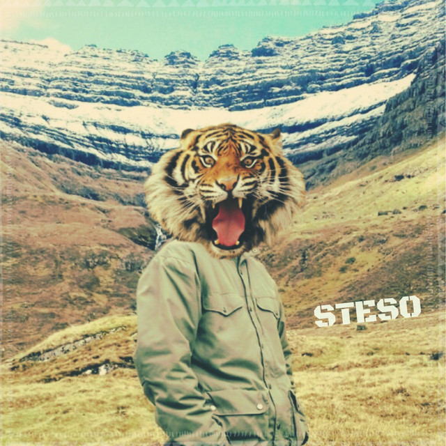 Blandað cover art
