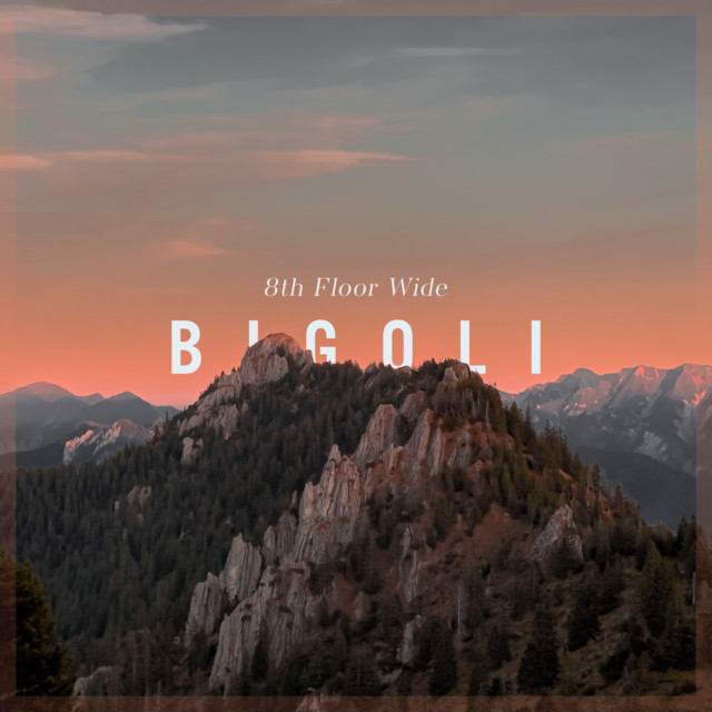 Bigoli cover
