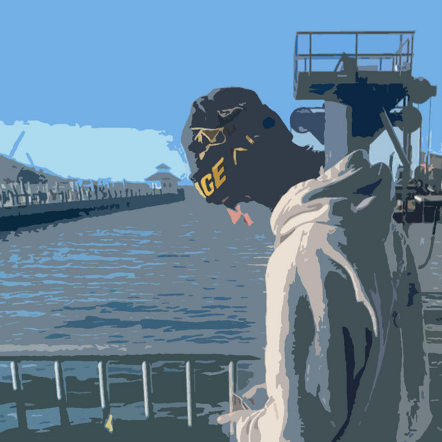 I DONT cover art