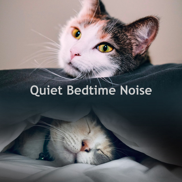 Quiet Bedtime Noise cover art