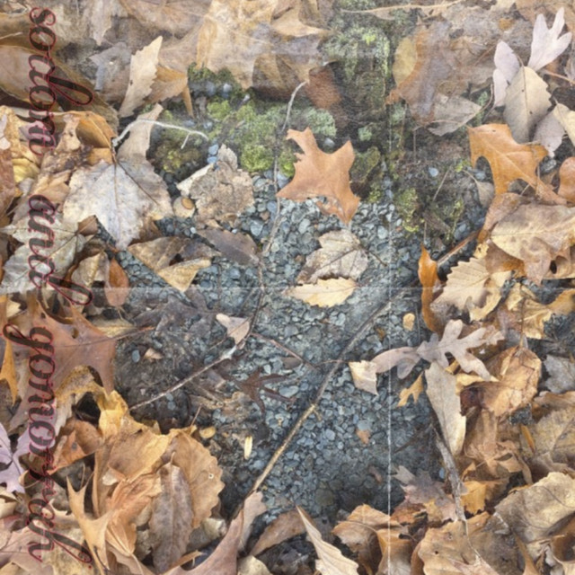 sodom & gamorrah cover art