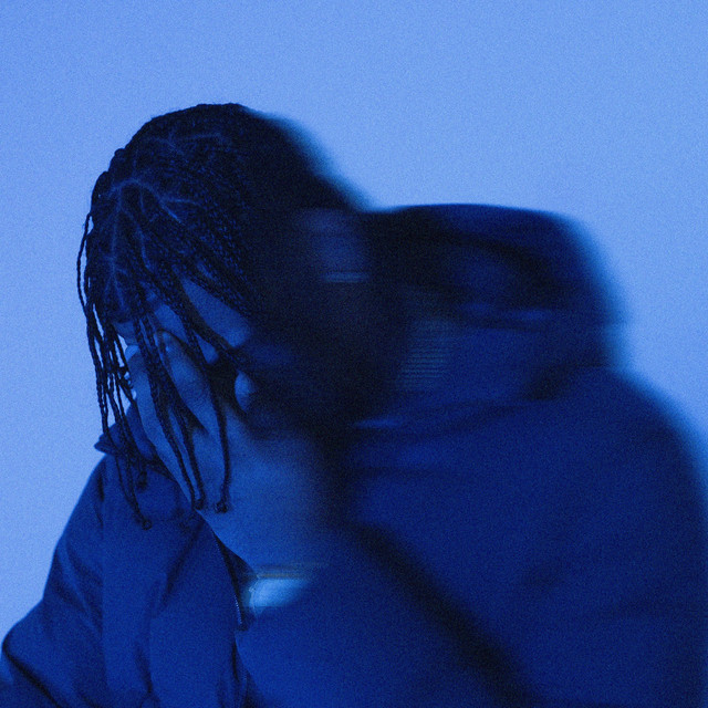 Chasing cover art