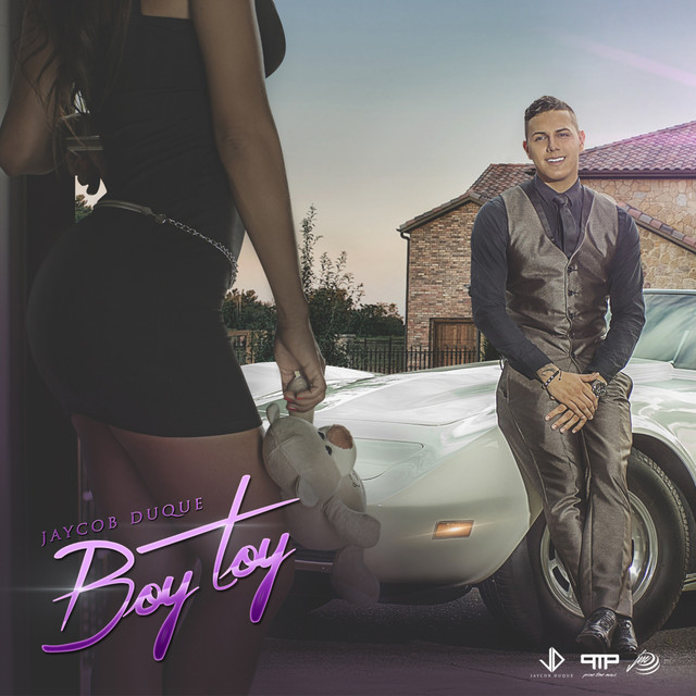 Boy Toy cover art