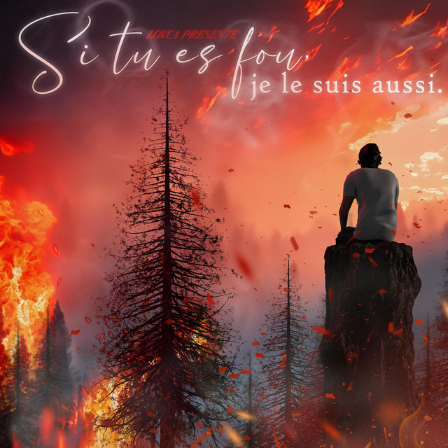 Si tu es fou, je le suis aussi. cover art