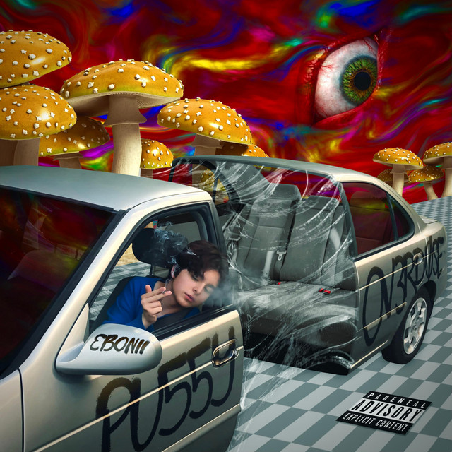 PU55Y OV3RD0SE cover art