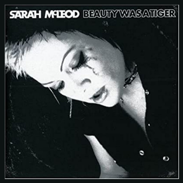 Beauty Was A Tiger cover art