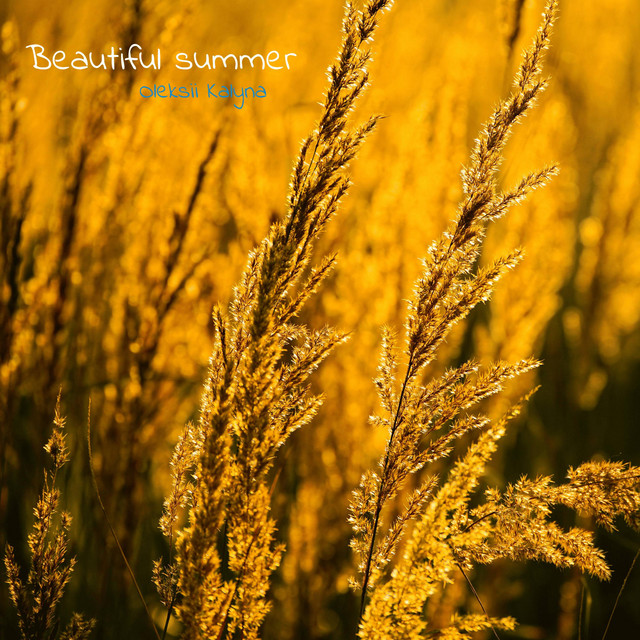 Обкладинка: Beautiful summer — Oleksii Kalyna