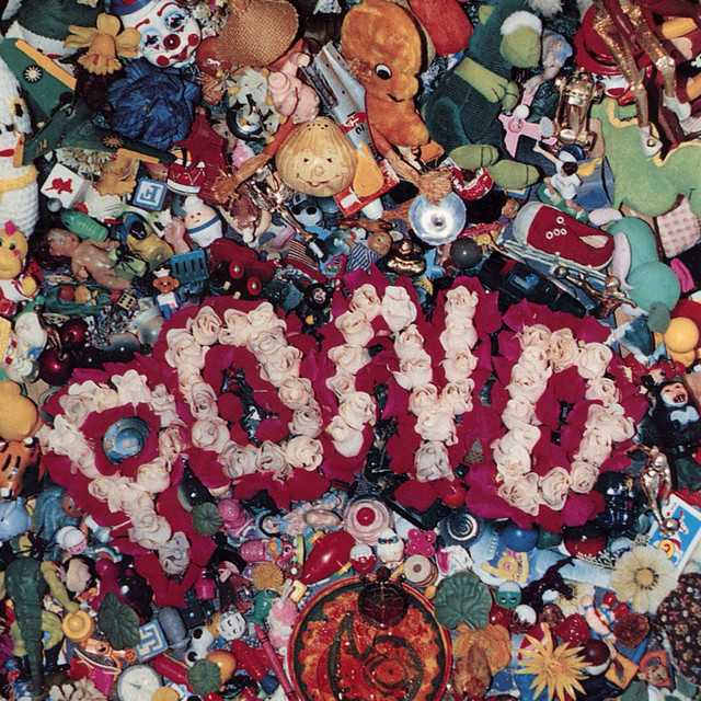 Pond cover