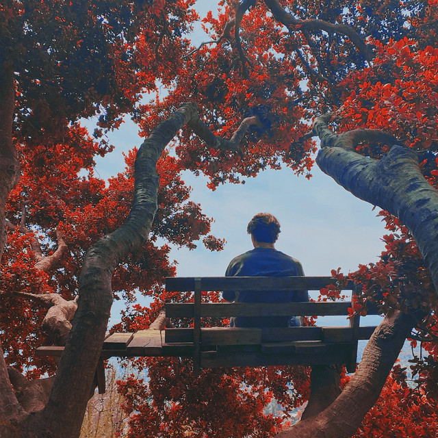 Only Young Once cover art