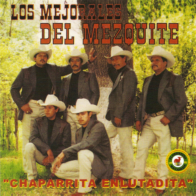 Chaparrita Enlutadita cover art