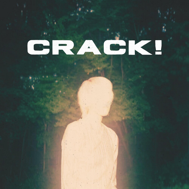 Crack ! cover art