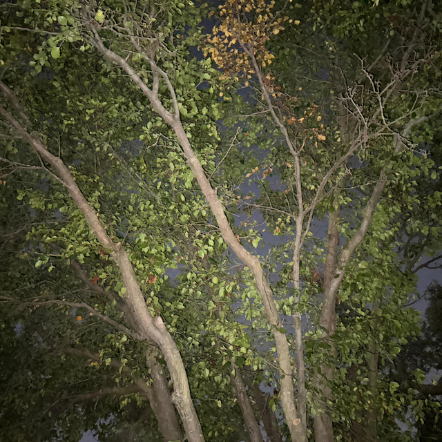 don't fall asleep without me cover art