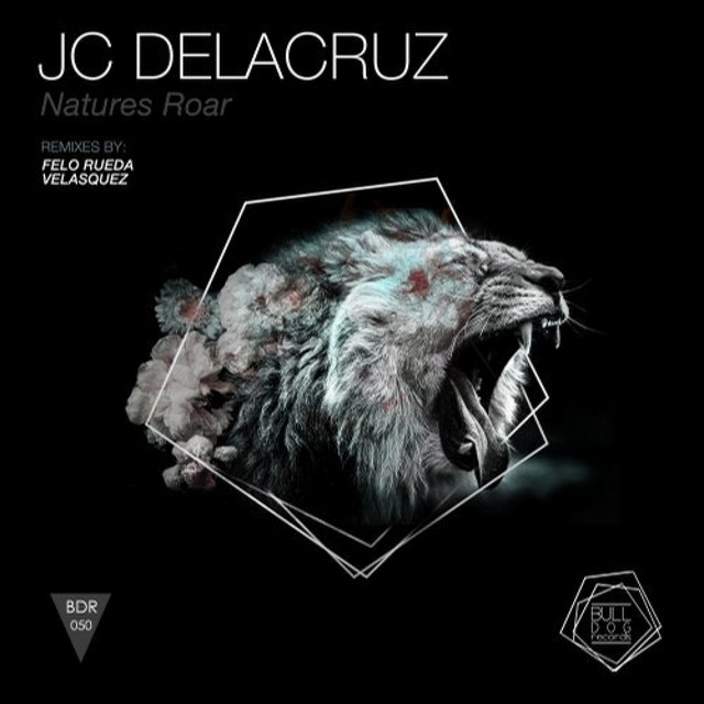 Roar - Velasquez Remix cover art