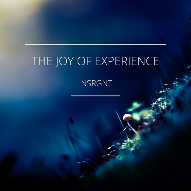 Обкладинка: The Joy of Experience — iNSRGNT